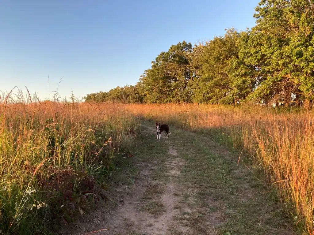 The hidden trails of Stillwater