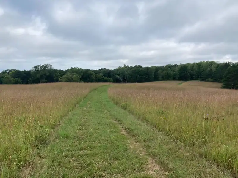 The magic of blazing new trails